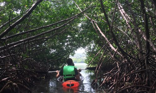 JARDIN BOTANICO + KAYAK 8