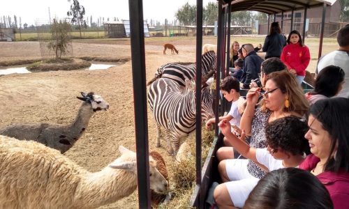 PARQUE SAFARI RANCAGUA 2