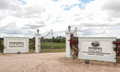 Passeio a Bodega Juanico 6