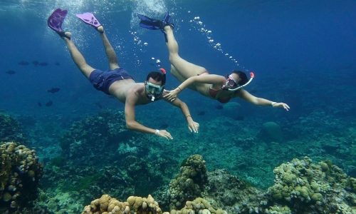 SNORKELING