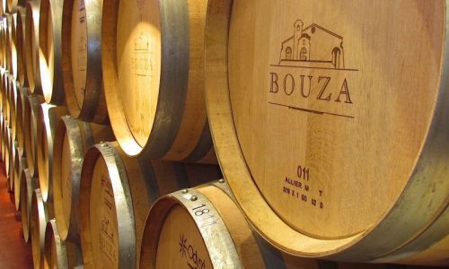 TOUR VINERY BOUZA COM DEGUSTAÇÃO 9