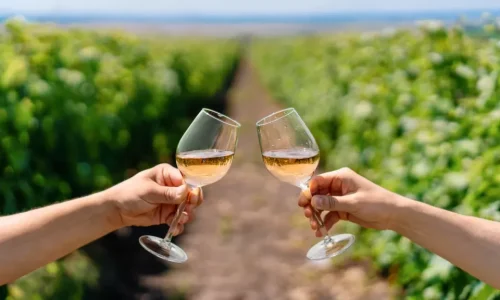 Wine-tour-Colonia-Del-Sacramento-1024x576-png